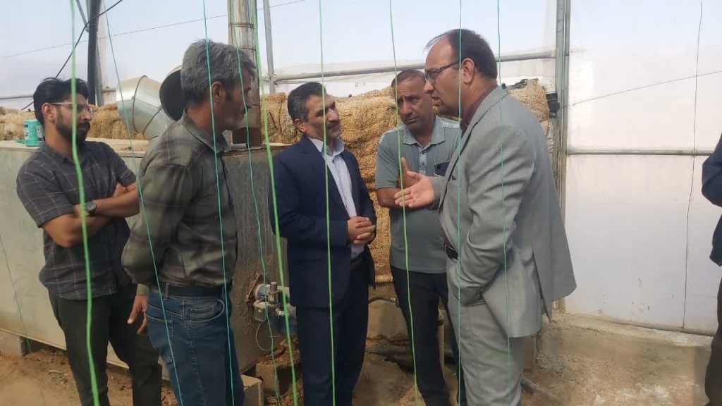 بازدید مدیر شرکت شهرک های کشاورزی استان از مجتمع گلخانه ای شهرستان بشرویه