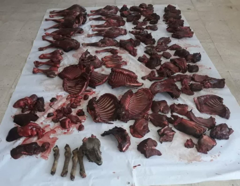 دستگیری شکارچیان غیربومی با کشف ۸ لاشه گوشت شکار در بشرویه