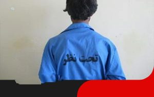 سارق احشام در کمتر ۲ ساعت در بشرويه دستگير شد