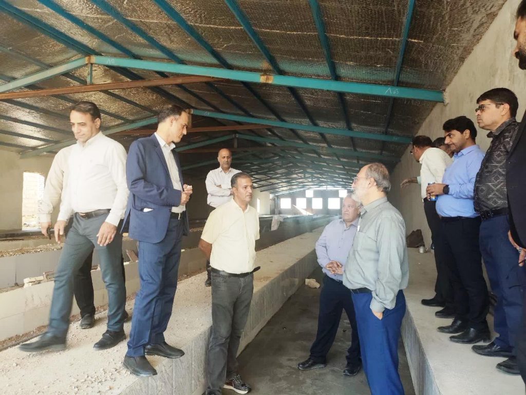 توسعه صنعت پرورش مرغ تخمگذار خوراکی در دستور کار رئیس سازمان جهادکشاورزی خراسان جنوبی