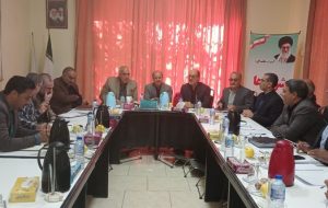 قرائی: حذف شوراها از فرآیند تصمیم‌گیری، موجب بی‌اعتمادی عمومی می‌شود